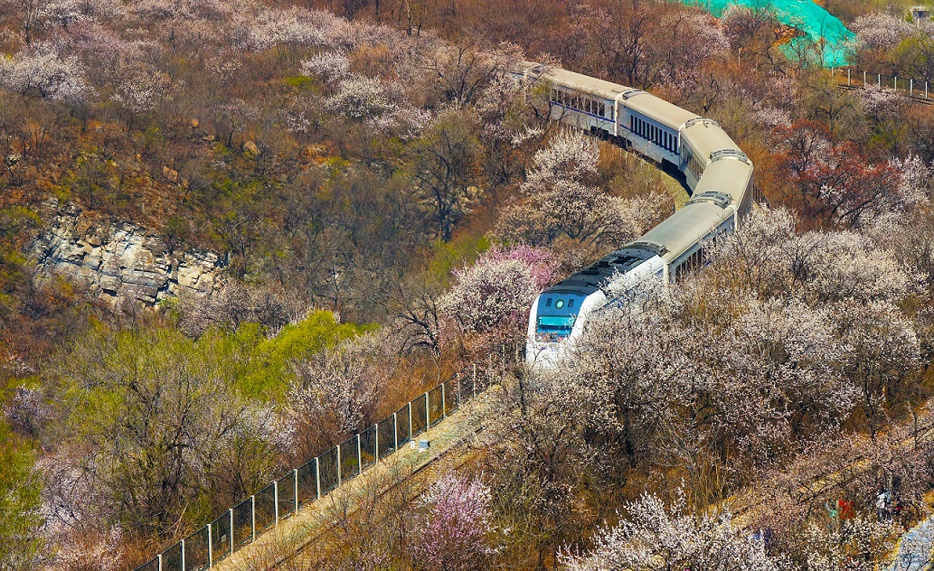 方敏-春天的列车.jpg